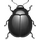 bug_black